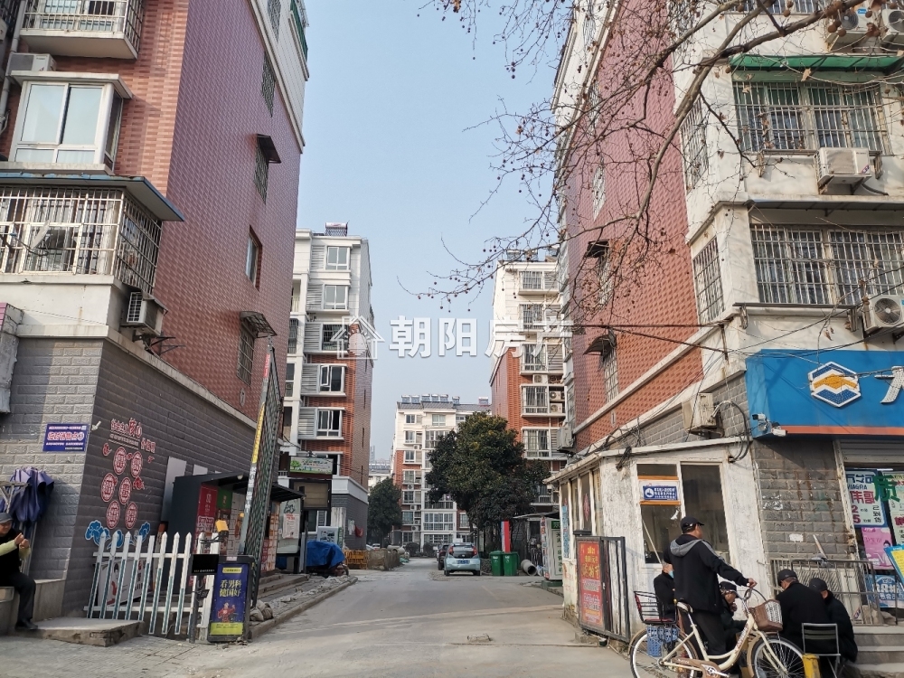 金豪阳光花园 145平 南向大户型 交通便利 毛坯
