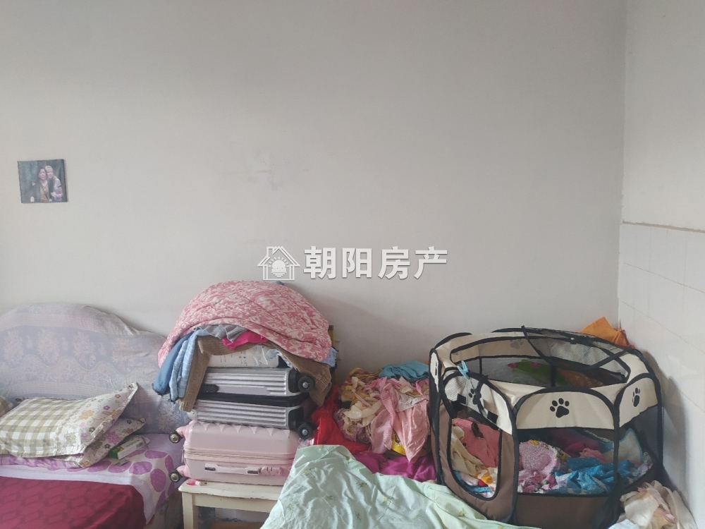 朝阳村 51平 南向两室 学区房 2549元/平