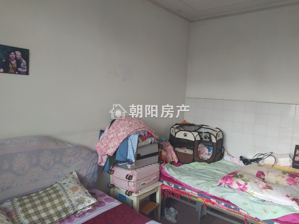 朝阳村 51平 南向两室 学区房 2549元/平