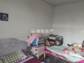 朝阳村 51平 南向两室 学区房 2549元/平