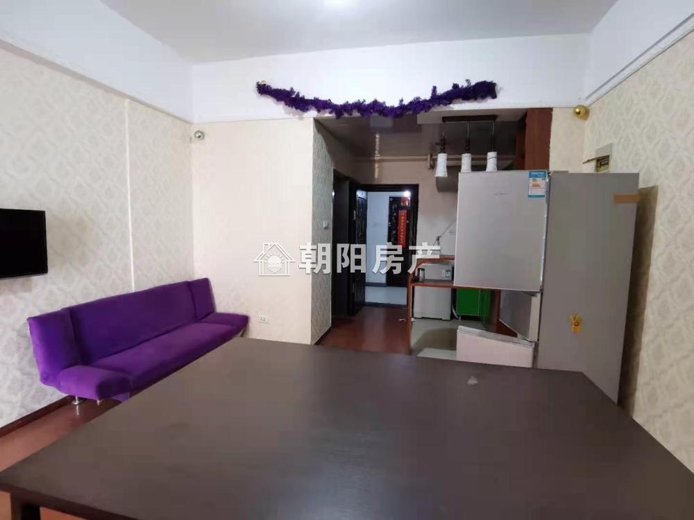 家乐福 57平 南向一室一厅 交通便利配套齐全随时看房