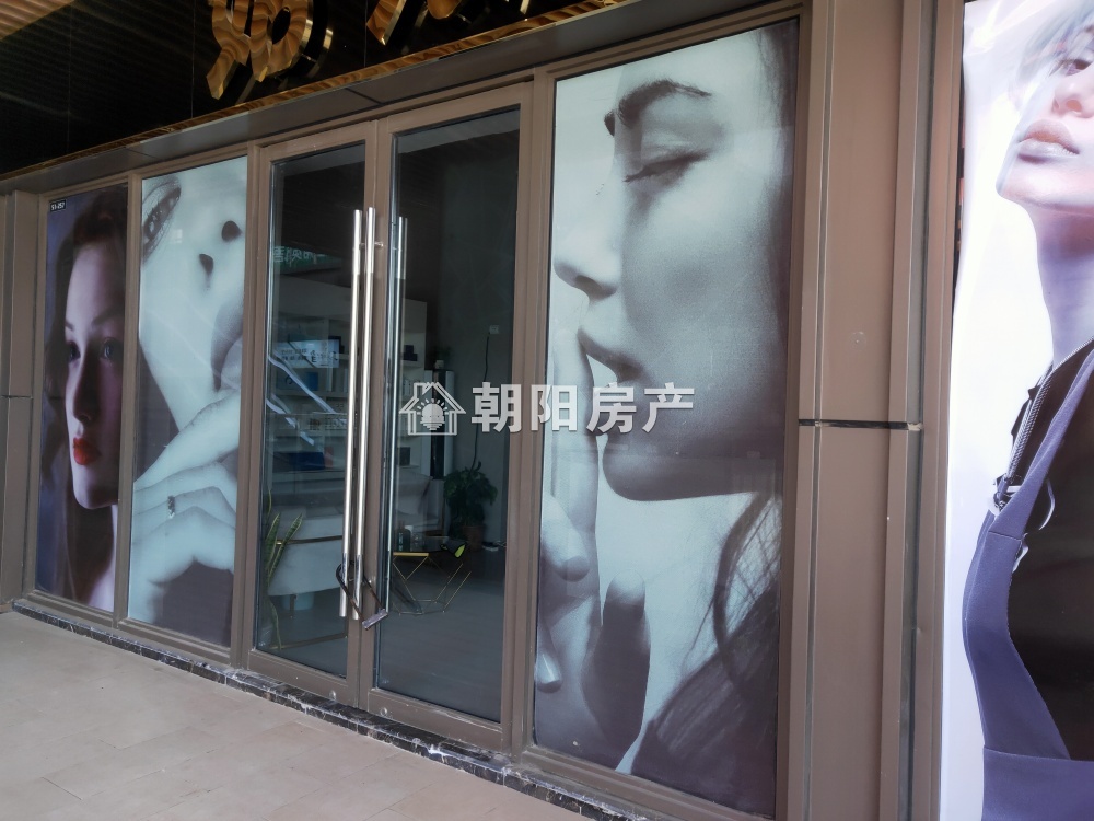 新城吾悦广场 55平 临街旺铺 优质地段