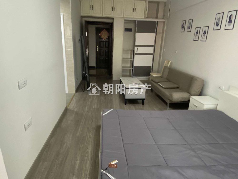 英伦联邦 45平 精装一室一厅 学区房 交通便利 随时看房
