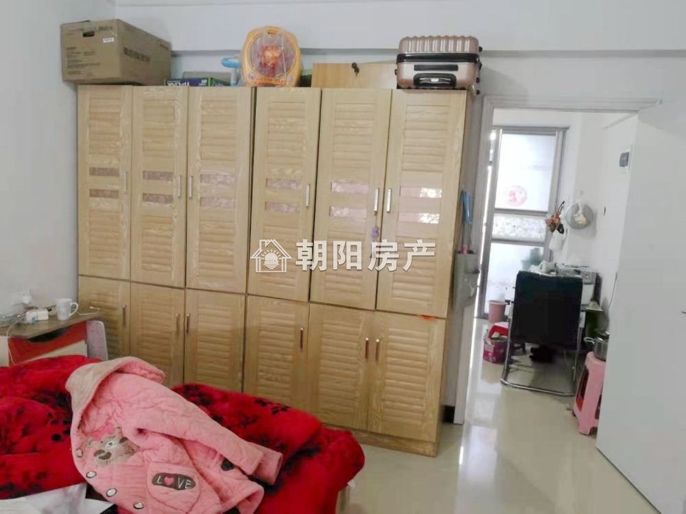 西湖春天 55平 南向一室一厅 满五唯一 学区房随时看房