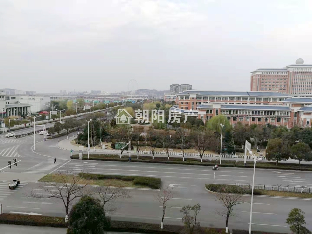 西湖春天 55平 南向一室一厅 满五唯一 学区房随时看房