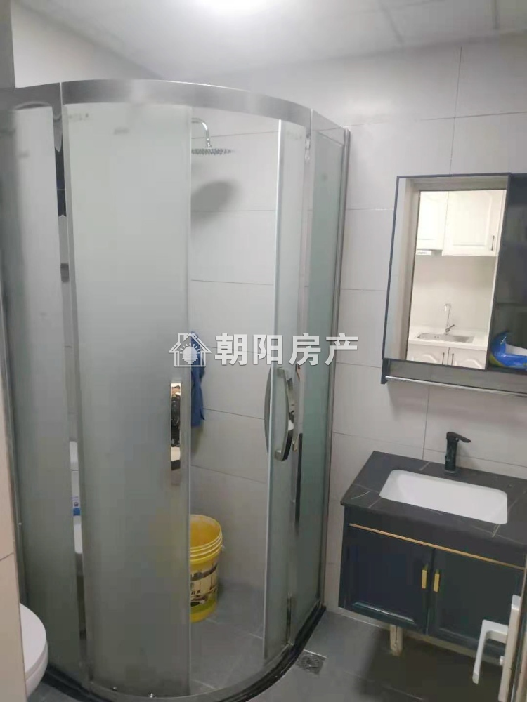 中环国际广场荣府 30平精装一室一厅 配套齐全 随时看房