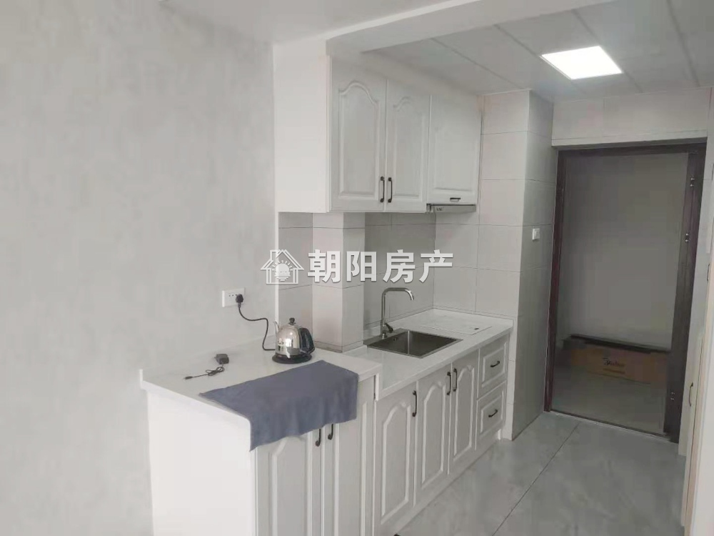 中环国际广场荣府 30平精装一室一厅 配套齐全 随时看房