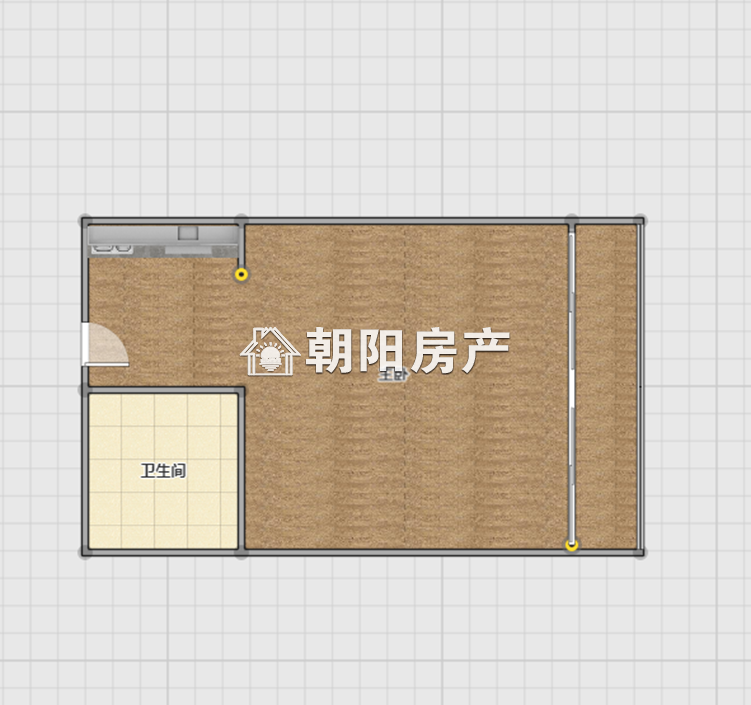 中环国际广场荣府 30平精装一室一厅 配套齐全 随时看房