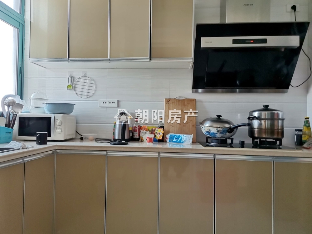 力达明和绿洲 166平 南向三室二厅 精装 满两年 学区房