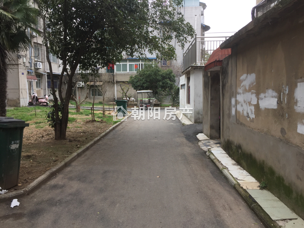 柏园南村一期 87平 南向三室 满五唯一 学区房 采光好