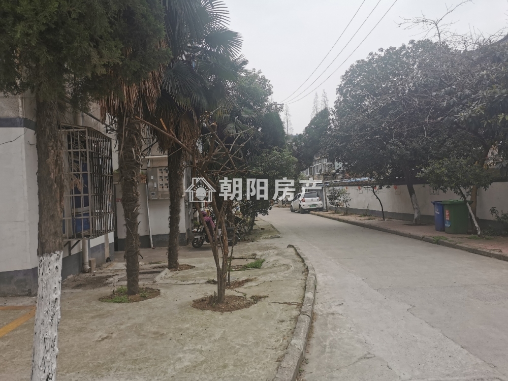锦路小区 60平 南向两室一厅 交通便利 简装
