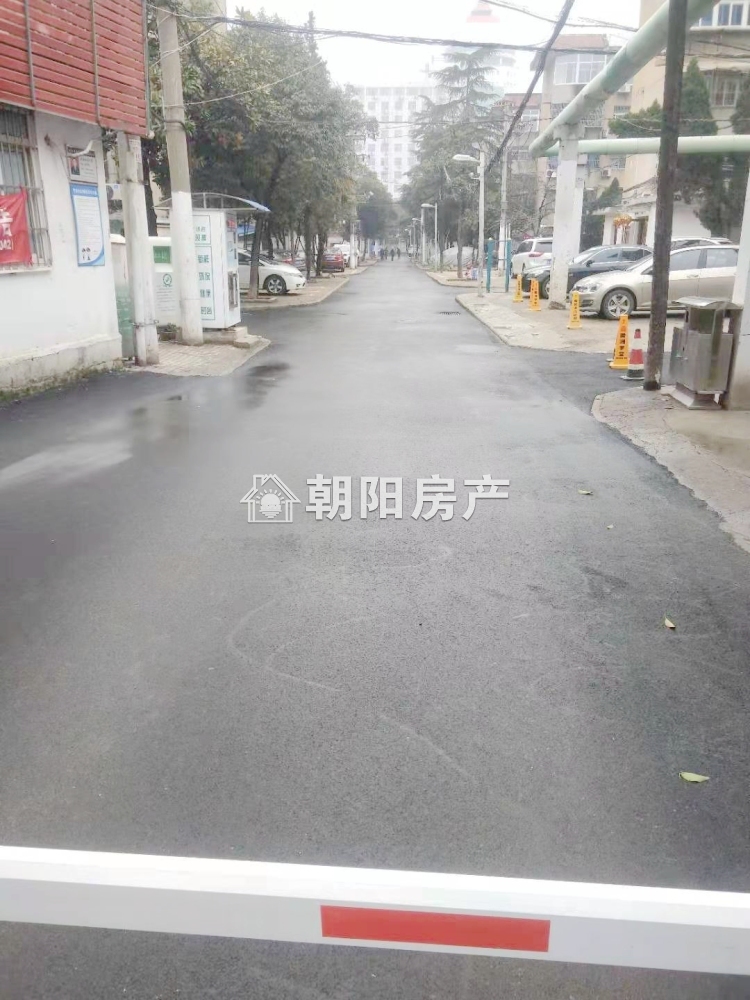 柏园新村 65平 南向两室一厅 精装 交通便利随时看房