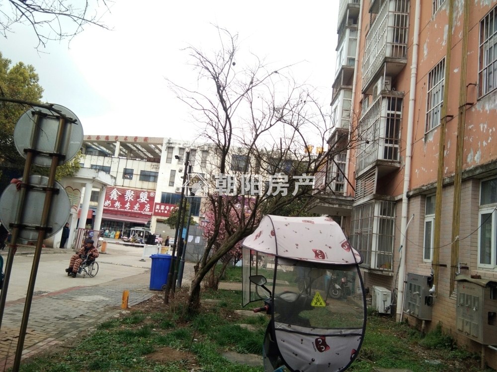 河西小区二期 74平 南向两室一厅 满两年 精装随时看房