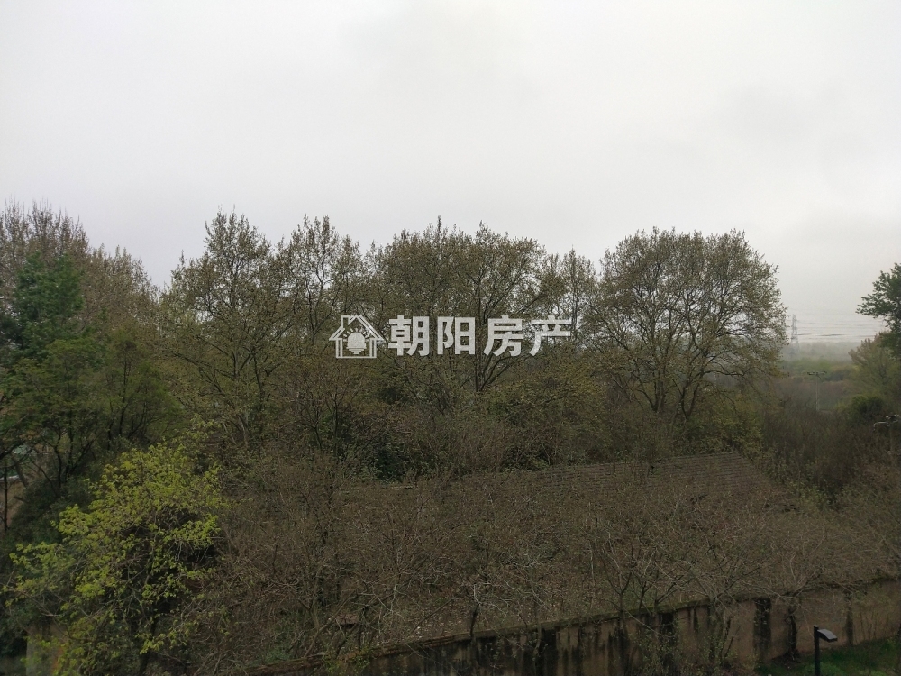 泉山湖公园里 109平 三室二厅 学区房 随时看房 采光好