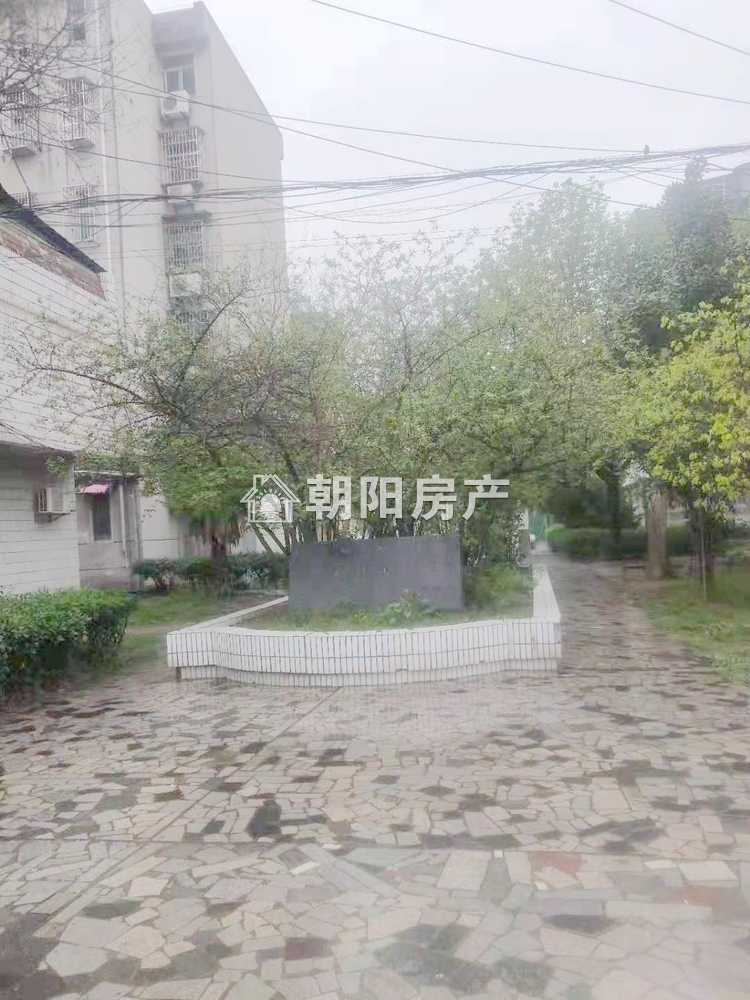 柏园南村二期 119平 南向三室二厅 学区房 采光好 随时看房