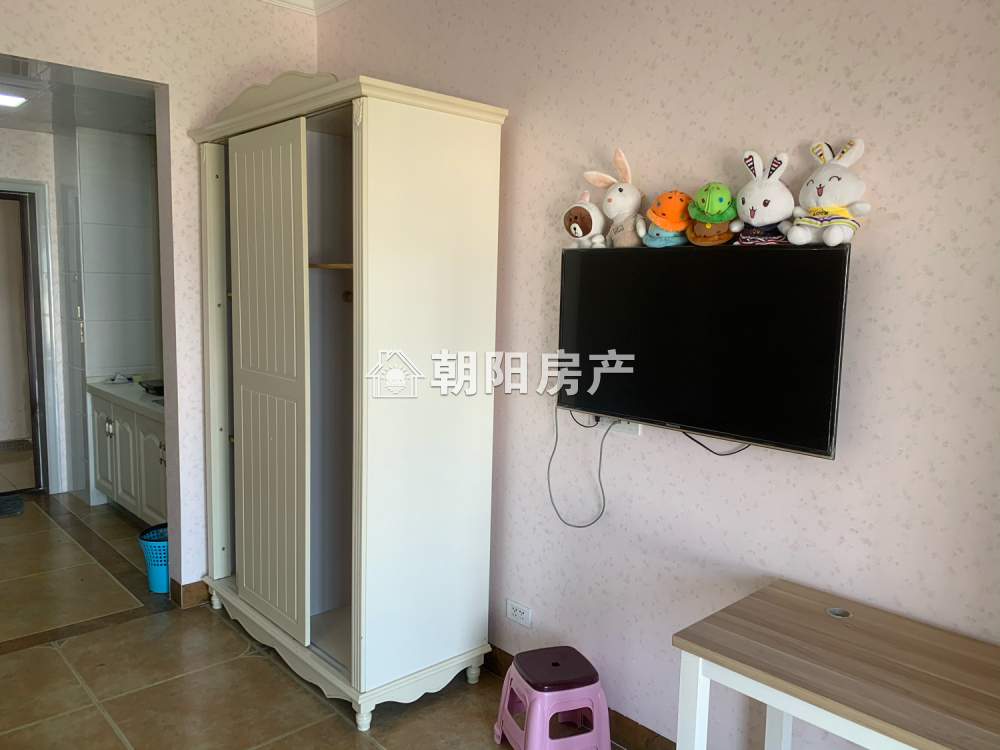龙湖中心 39平 南向精装一室一厅 满五唯一免税