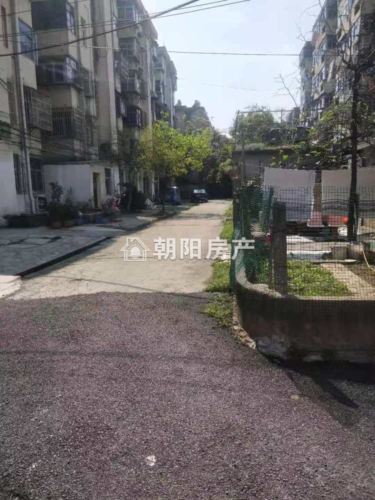 柏园医药家属楼 61平 南向两室一厅 满两年 交通便利 采光好