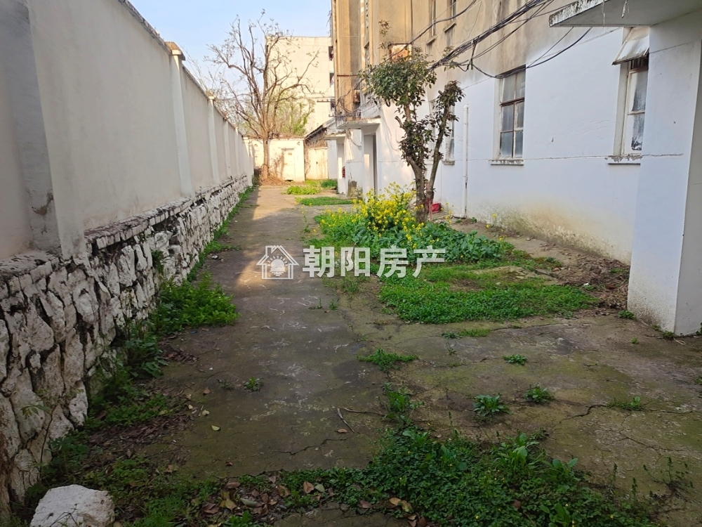 卫校教师楼 62平 南向两居 采光好 配套齐全