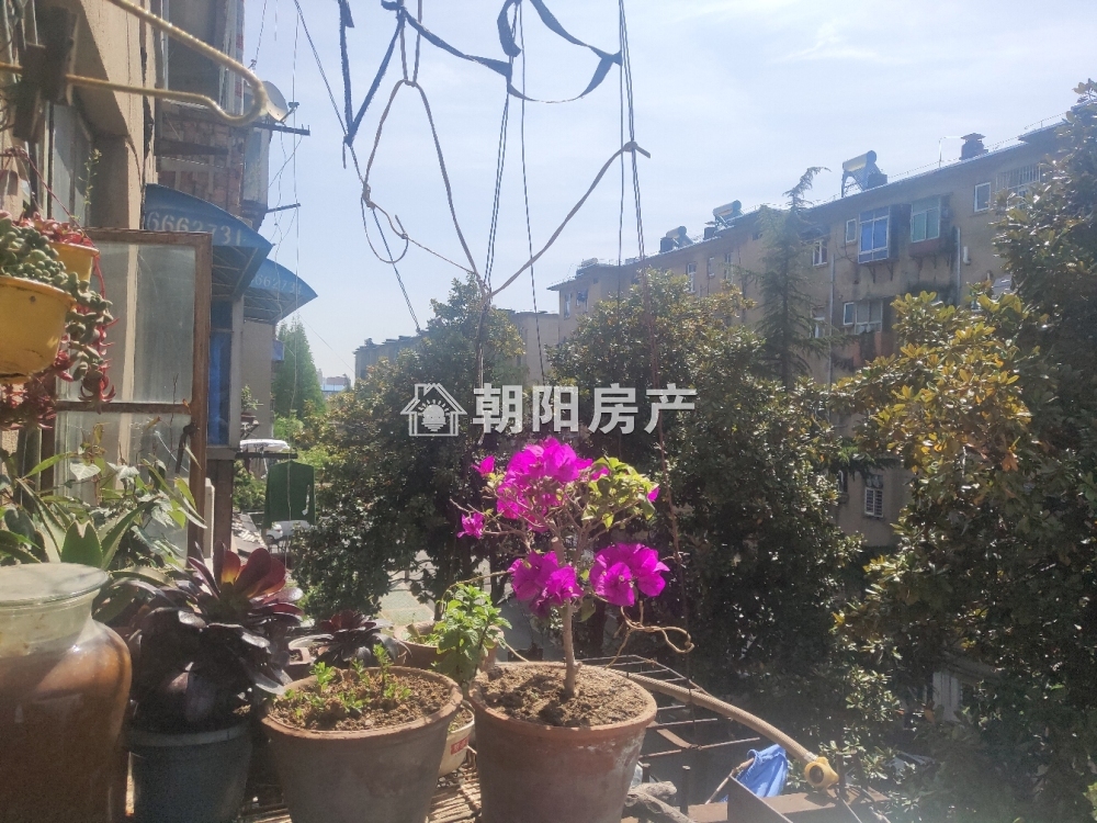安化村 75平 南向两室一厅 满五唯一 免税学区房