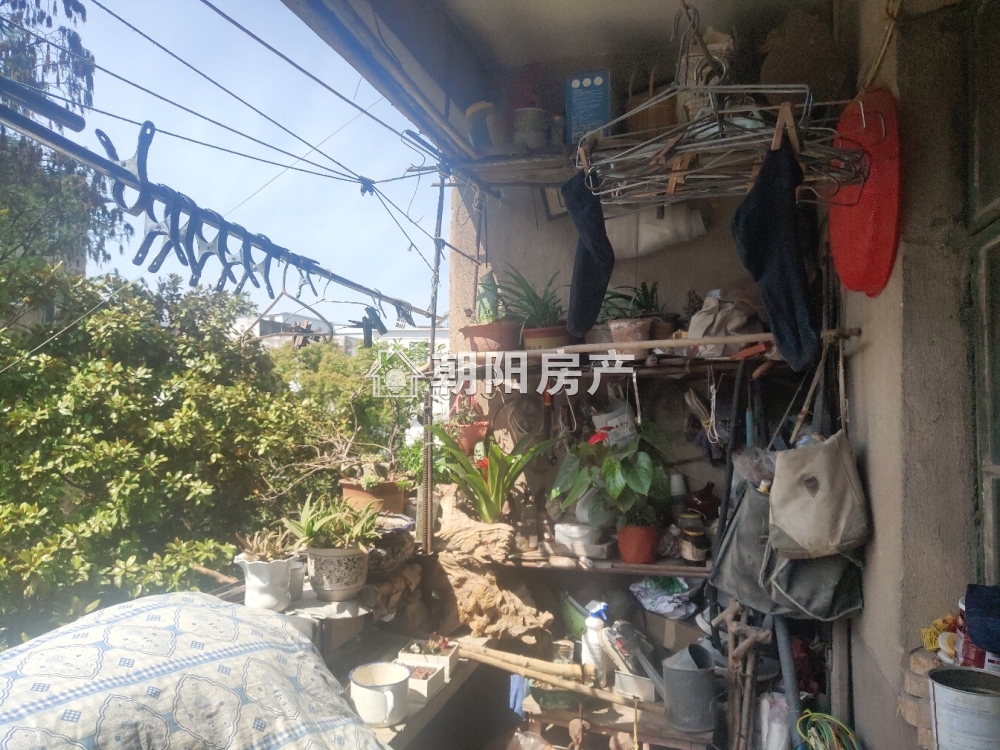 安化村 75平 南向两室一厅 满五唯一 免税学区房