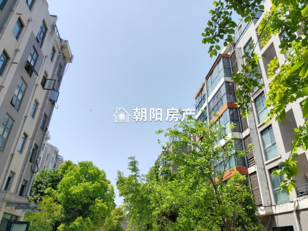 南山村C1区 148平 南向四室精装 满两年 学区房