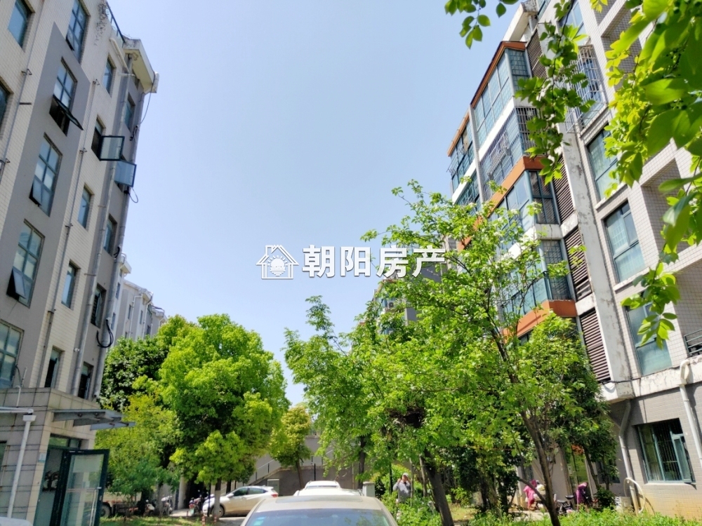 南山村C1区 148平 南向四室精装 满两年 学区房