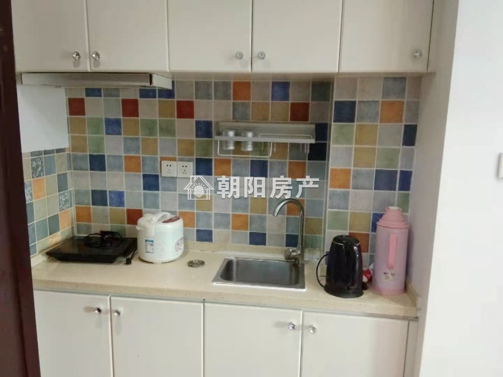 中环158 29平 西向一室一厅 单价4136元 交通便利学区房
