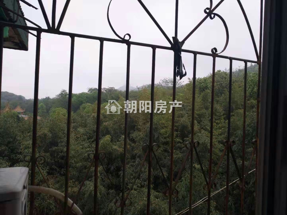 绿苑山庄 126平 三室两厅 精装免税 交通便利 采光好