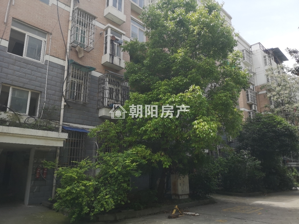 商贸文化广场 126平 南向精装三室 满两年 学区房