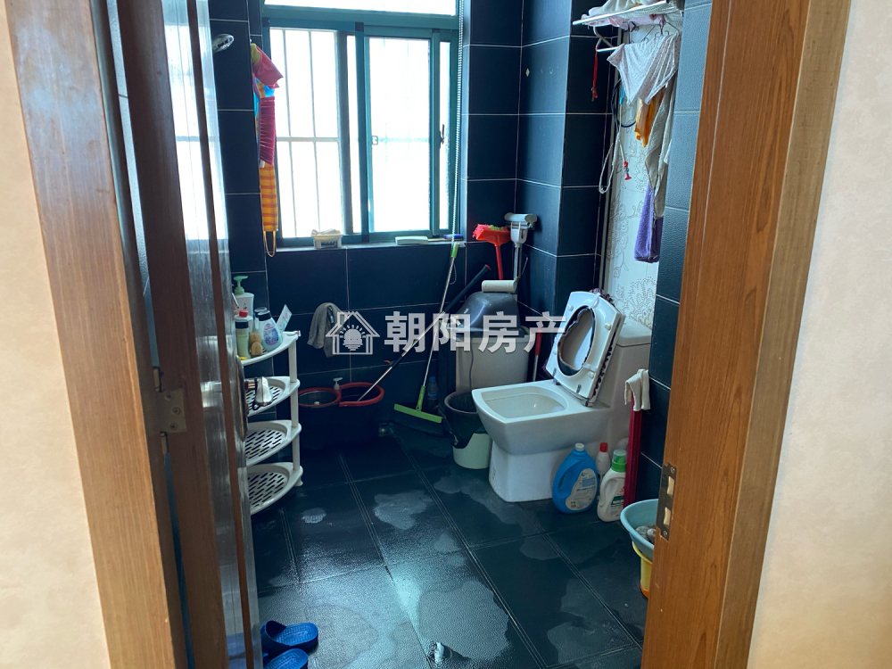 颐园豪景福苑 178平 南向三室二厅 精装免税随时看房