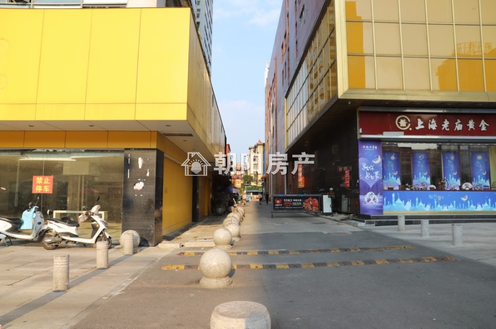 龙湖路一号 101平 南向两室中装 免税 单价4433元