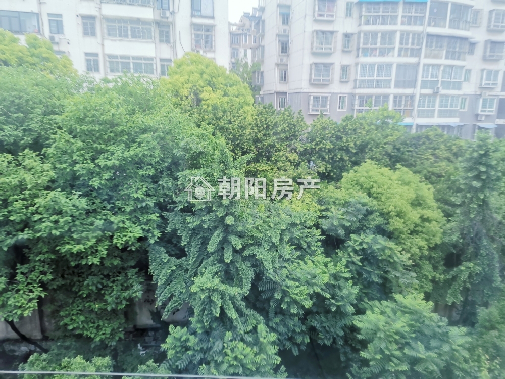 龙眼村 67平 南向两室一厅 满两年 交通便利 随时看房