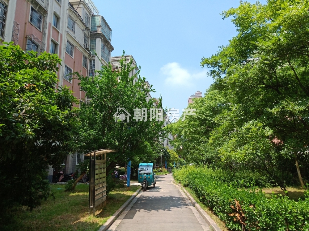 银鹭万树城 128平 南向精装三室 满两年 交通便利