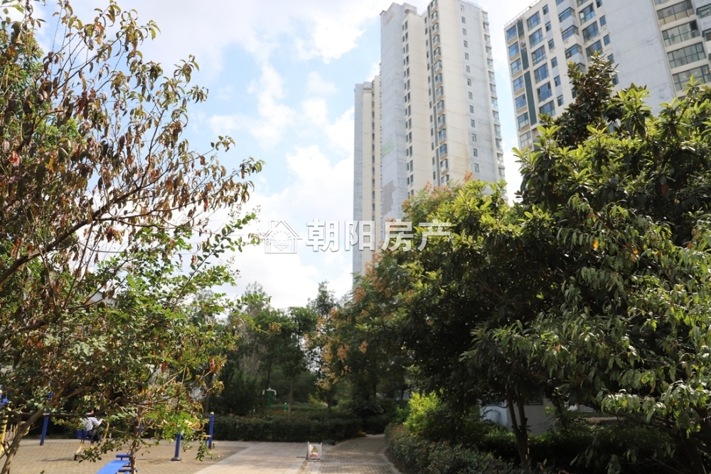 力达明和绿洲 188平 精装四室朝南 满两年 随时看房