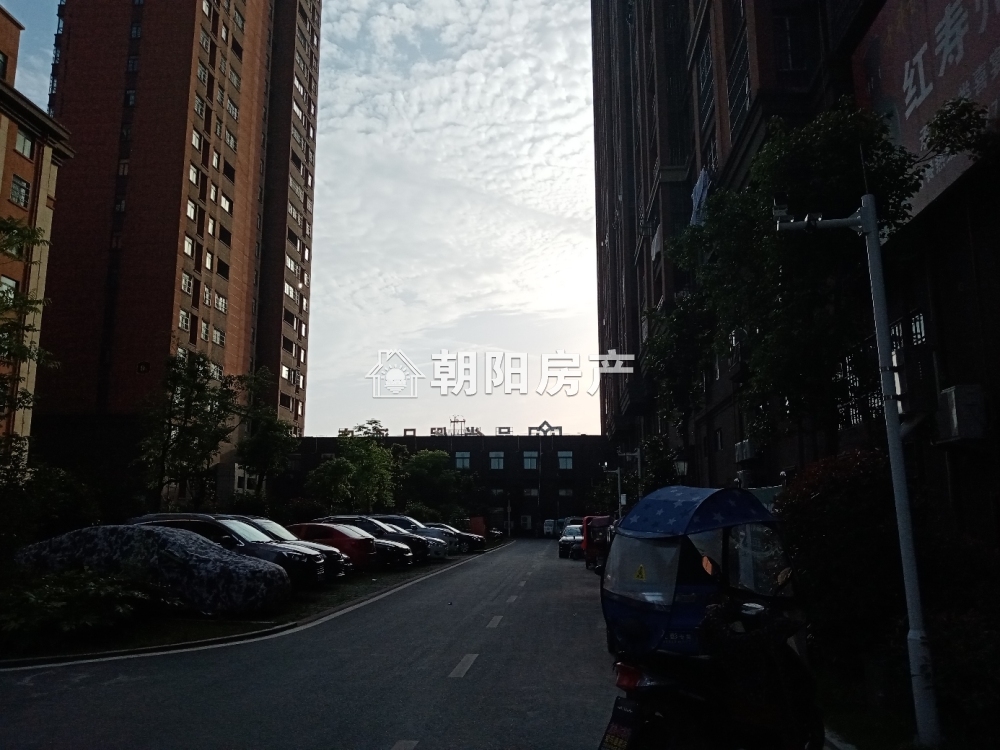 金大地悦府 105平 南向三室二厅 学区房 采光好