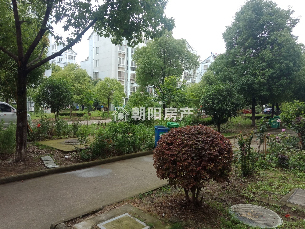 九龙新村西区 72平 南向精装两居 学区房 满两年