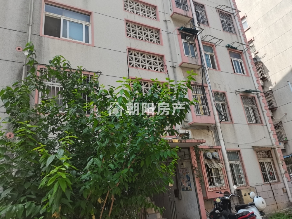 金玉新村 128平 南向三居 学区房 交通便利