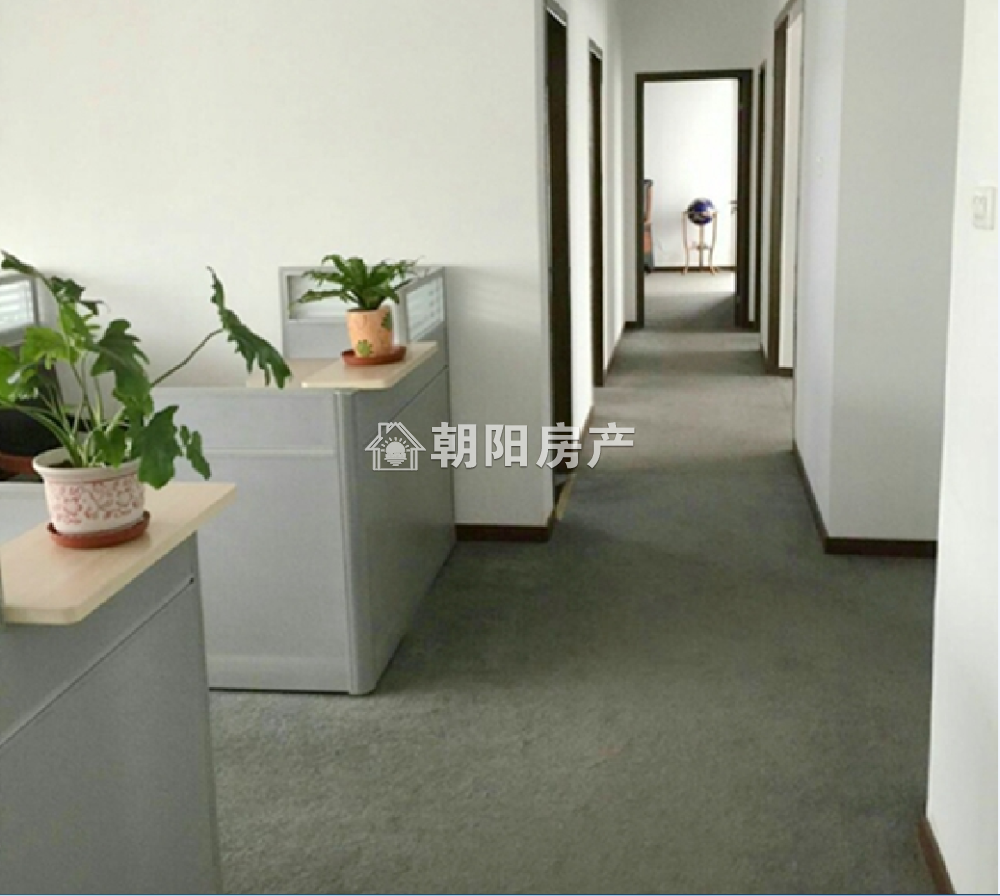 绿城花园 157平 南向精装四室 满五唯一 学区房