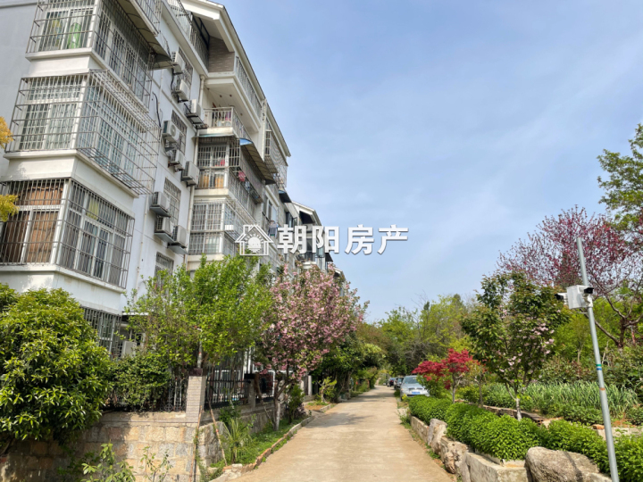 绿苑山庄三室两厅精装吉房急售-淮南田家庵区租房-安徽淮南朝阳房产网