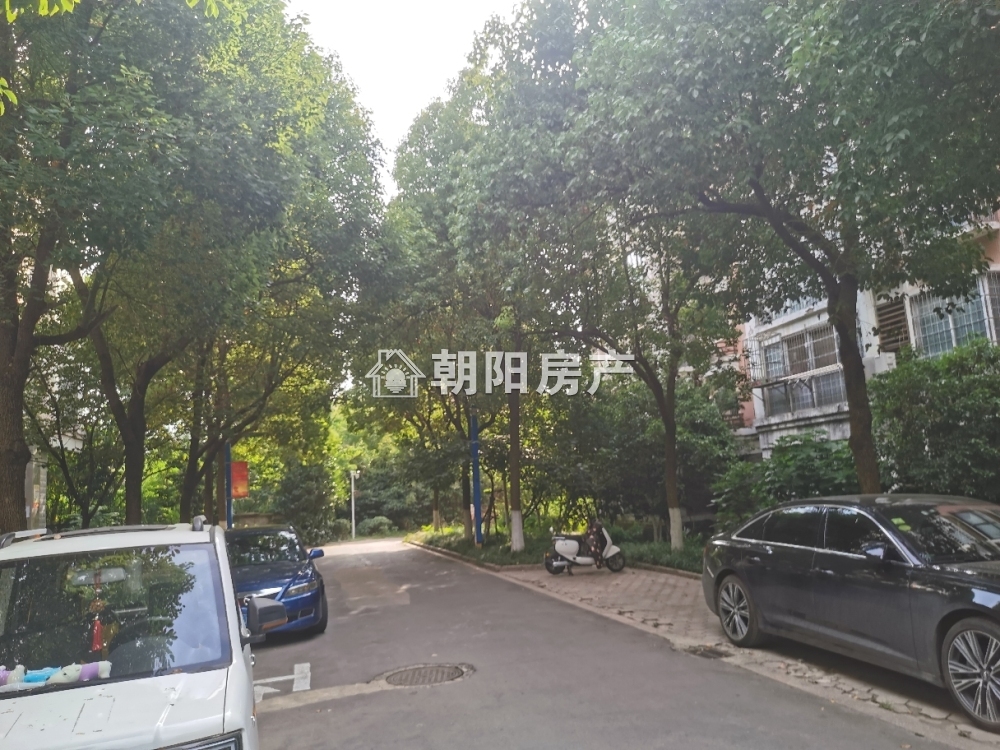 银鹭万树城 124平 南向精装三室 满两年 学区房