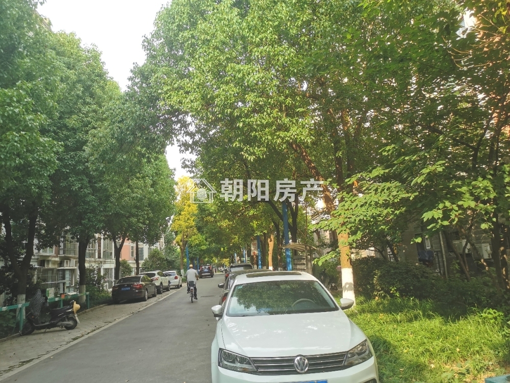 银鹭万树城 124平 南向精装三室 满两年 学区房
