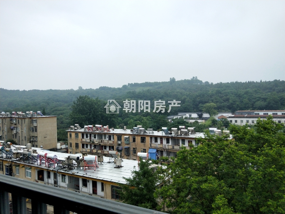 金岭新村 105平 南向精装三室 满五唯一 学区房
