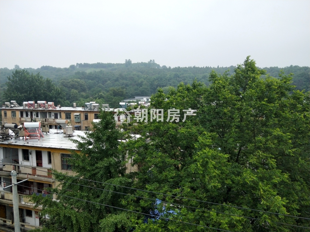 金岭新村 105平 南向精装三室 满五唯一 学区房