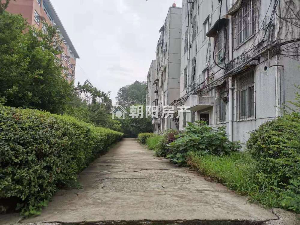 靠山村 90平 南向三室 交通便利 采光好