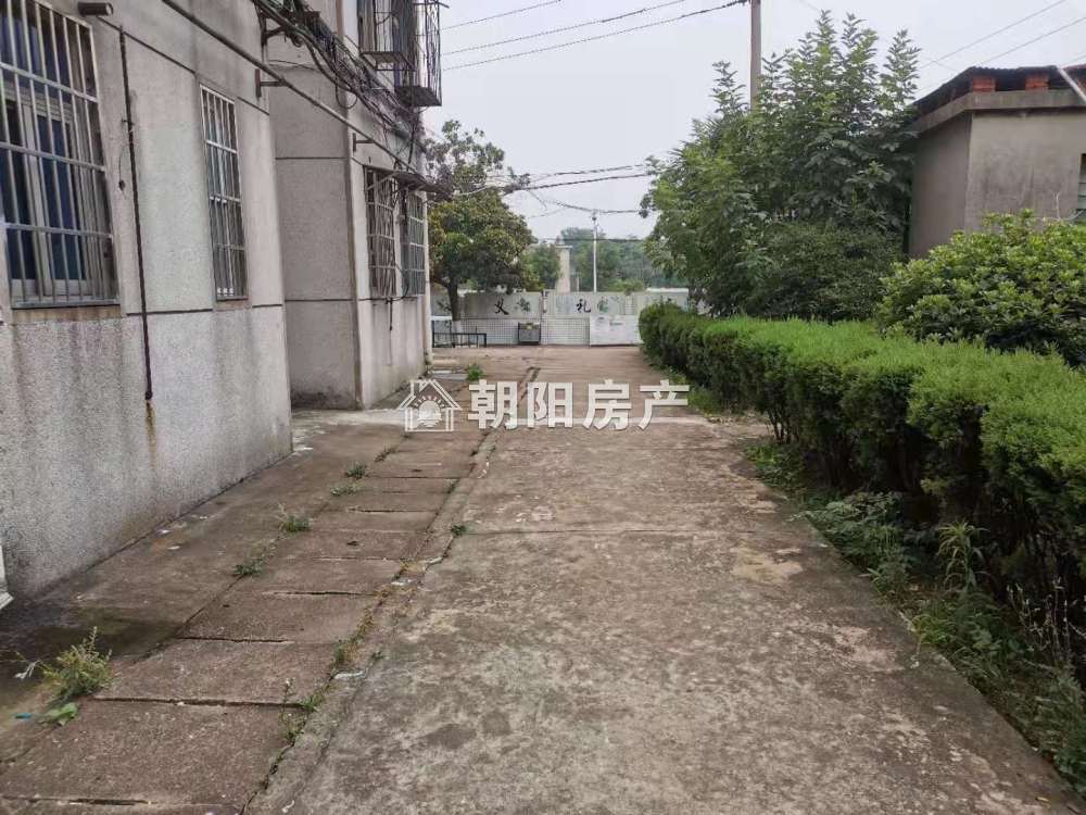 靠山村 90平 南向三室 交通便利 采光好
