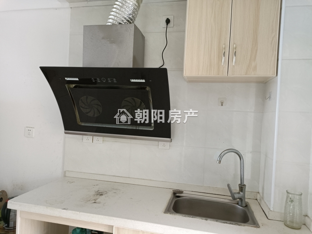 中央美域 52平 精装一室 配套齐全 800元/月