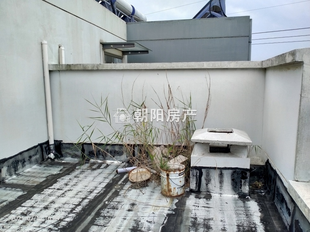 金岭新村 147平 朝南三室两厅 交通便利 简装