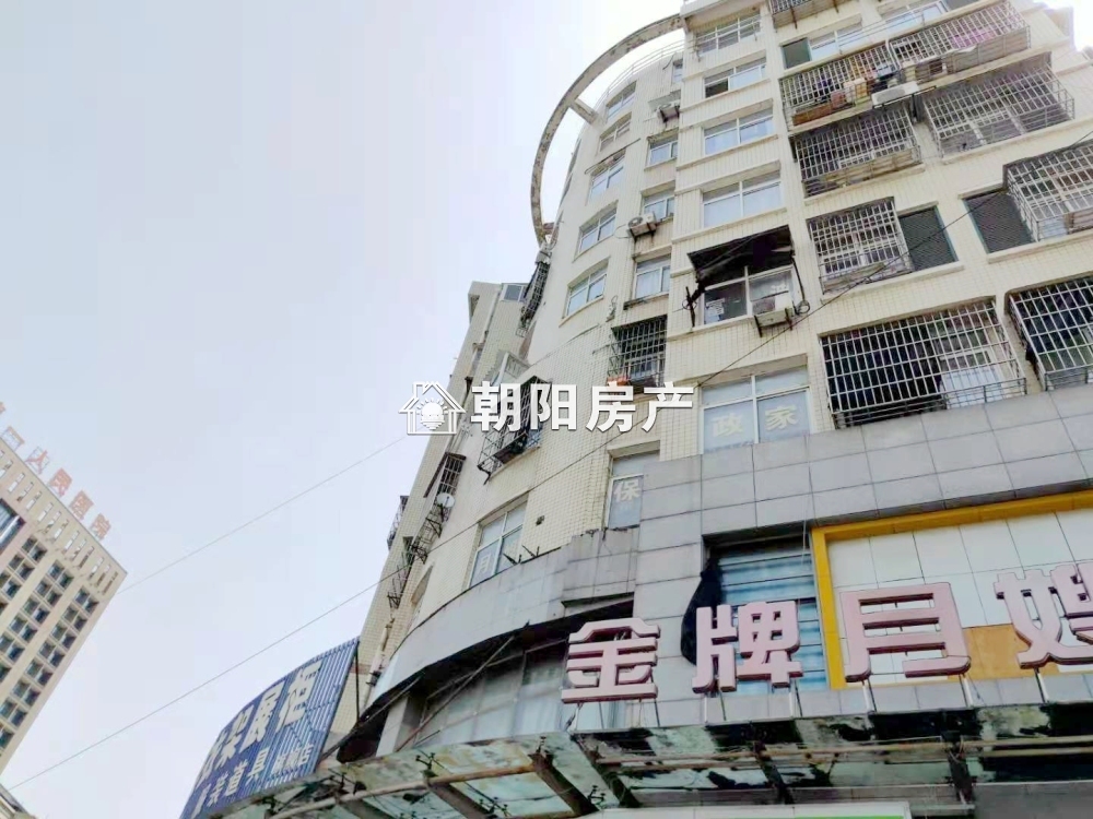 金龙门公寓 60平 一室一厅 龙湖公园旁 满五唯一