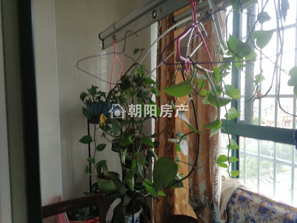中环国际广场仕府  简单装修 2室2厅 16小西校区 诚心出售