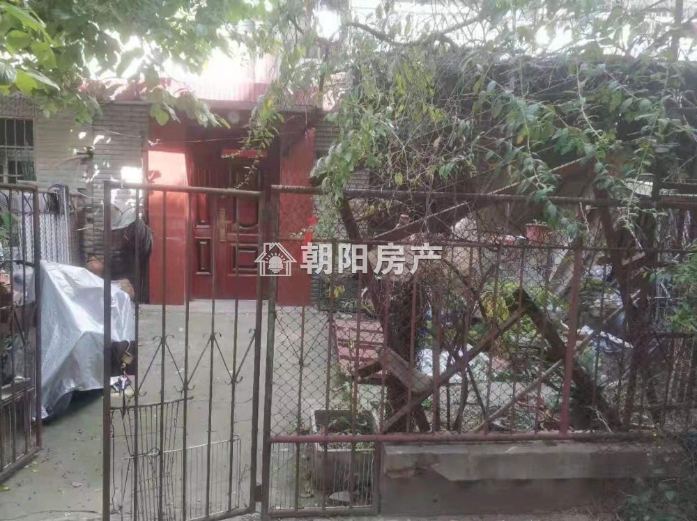 新华村 56平 南向三室一厅 交通便利 学区房 环境好